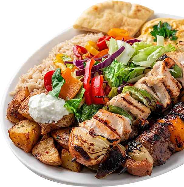 BBQ mixed grill platter with charbroiled chicken, beef and kafta skewers, grilled vegetables, rice and garlic sauce from Shawarma Palace